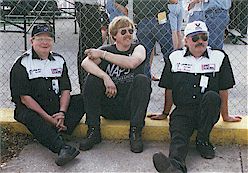 Brain.jpg (17408 bytes)